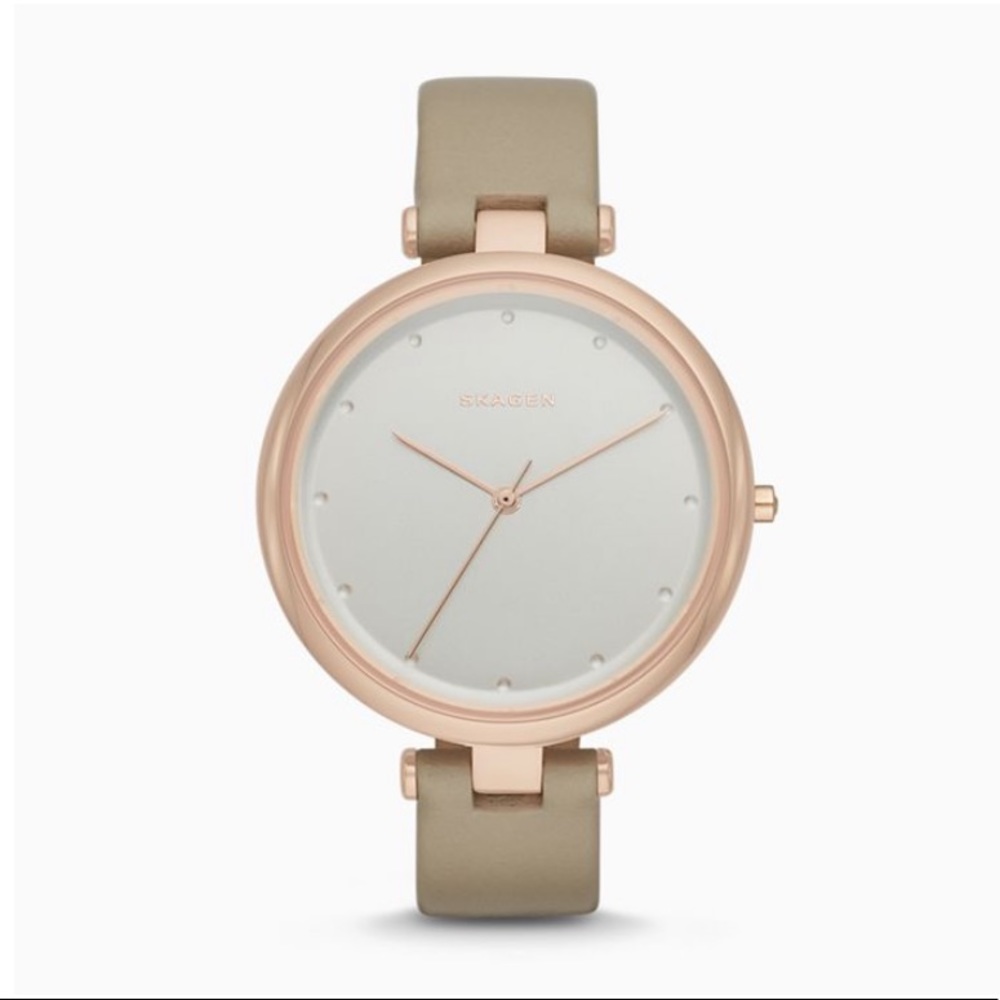 Skagen watch